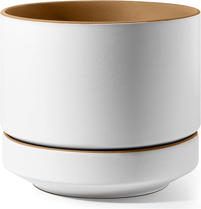 LE TAUCI 12 Inch Pot for Plants with Saucer, Ceramic Indoor Planter Pot with Drainage Hole, Mesh Pad Included, Matte Glazed Outside, Modern for Home and Office, Alpine White & Ochre