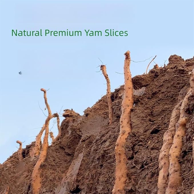 Chinese Yam Slices- Pure Natural Chinese Herbal Medicine-Dried Sliced Tiegun Shan Yao 8.81oz/250g Used for making soup-Brewing tea-铁棍山药片 (Yam Slices)