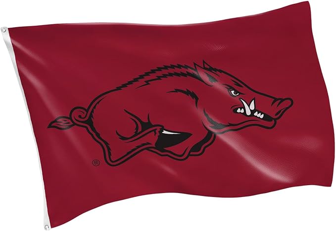NCAA University of Arkansas Flag