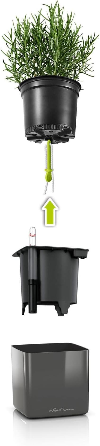 Lechuza Glossy 14 Quality Plant Cube Stick Irrigation System, Titanium dust high Gloss