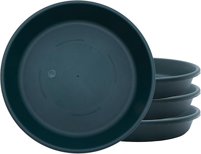 The HC Companies 6 Inch Classic Round Plant Saucer, Lightweight UV-Resistant Plastic Outdoor & Indoor Flower Pot Tray, 4-Pack Plant Pot Trays for Garden & Home Decor, Evergreen