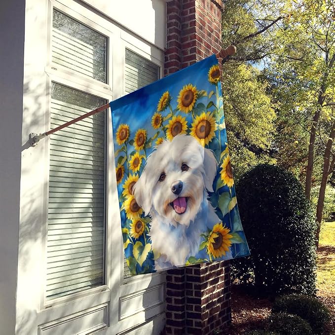 Caroline's Treasures DAC6063CHF Coton de Tulear in Sunflowers House Flag Large Porch Sleeve Pole Decorative Outside Yard Banner Artwork Wall Hanging, Polyester, House Size, Multicolor