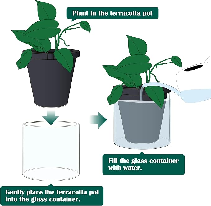 D'vine Dev 6 Inch Design Self Watering Planter for Indoor Plants, Black Terracotta Pot with Cylinder Glass Cup, Set of 2, 37-Y-B-3