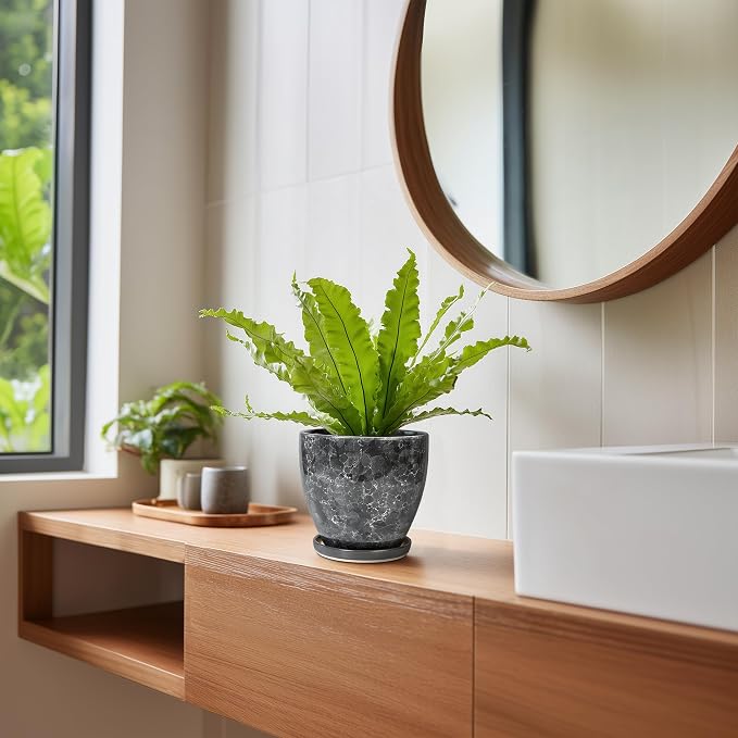 Ceramic Pots for Plants - 6 Inch Ceramic Planter with Drainage Hole and Saucer, Modern Planters for Indoor Outdoor Plants, Round Planter, Home Garden Decor, Plant Lover Gifts, Grey