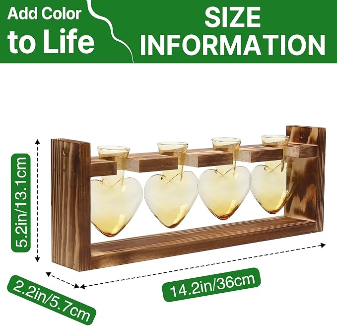 Plant Propagation Stations Heart Plant Terrarium Kit | Gift for Women Plant Lover Glass Vases