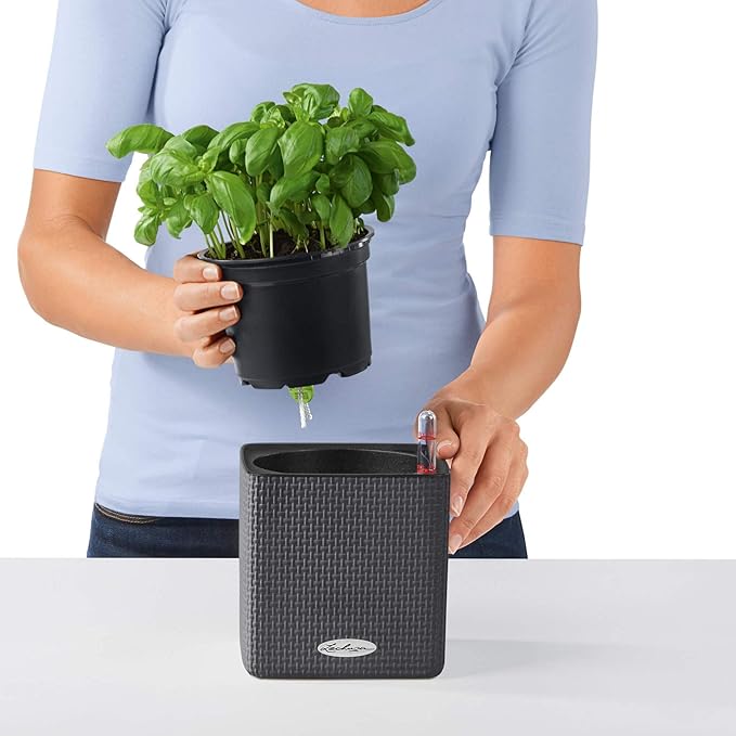 Lechuza Cube Color 16 Slate, Self-Watering Indoor Small Plant Pot, H6.3 L6.7 W6.7 in