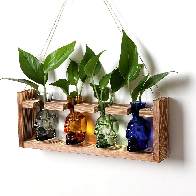 Plant Propagation Stations Halloween Skull Plant Terrarium Kit | Glass Vases Gift for Father Air Planter Home Office Decor