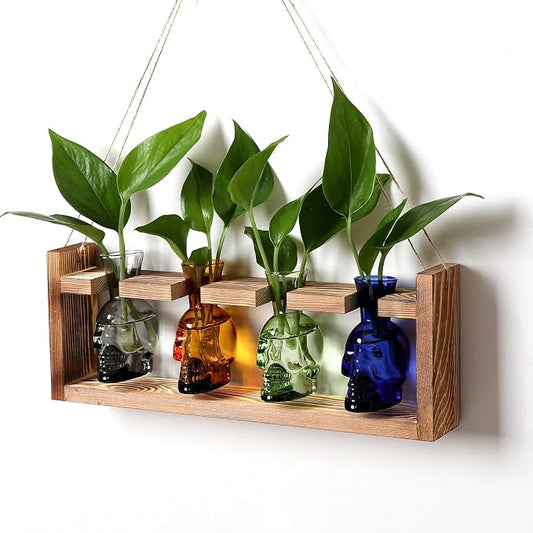 Plant Propagation Stations Halloween Skull Plant Terrarium Kit | Glass Vases Gift for Father Air Planter Home Office Decor