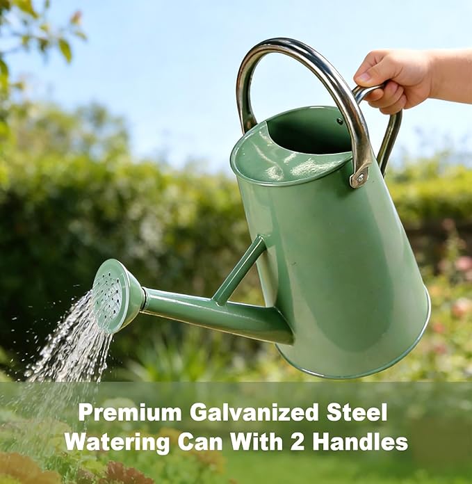 Watering Can for Outdoor&Indoor Plants，1.5 Gallon（5.7L） Metal Watering Can with with Removable Spout，Large Galvanized Steel Garden Flower Water Can Watering Pot with 2 Handles，Cream Green