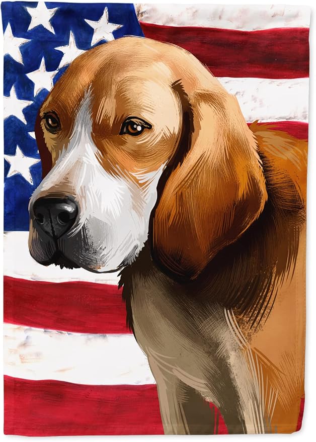 Caroline's Treasures CK6422CHF Beagle-Harrier American Flag House Flag Large Porch Sleeve Pole Decorative Outside Yard Banner Artwork Wall Hanging, Polyester, House Size, Multicolor