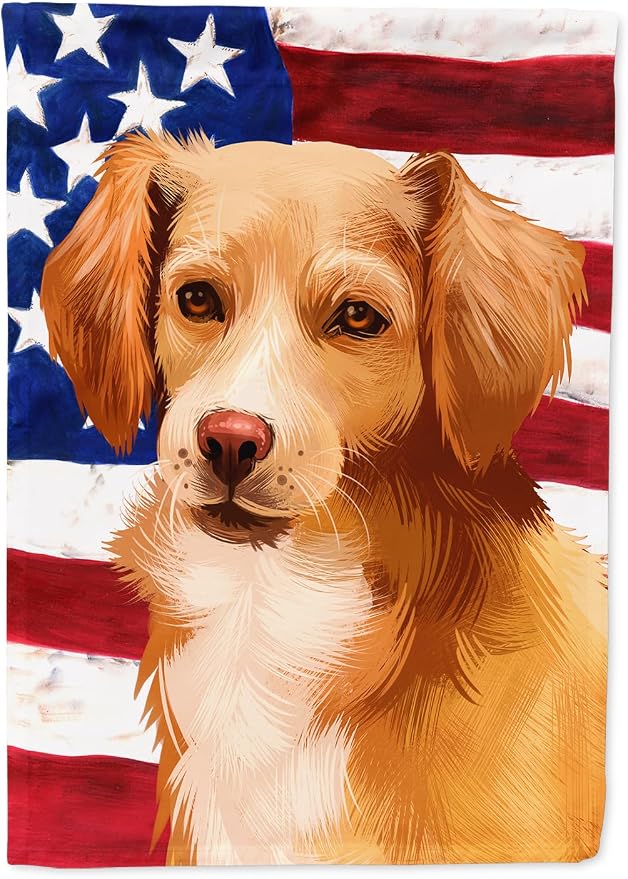 Caroline's Treasures CK6391CHF Alopekis Dog American Flag House Flag Large Porch Sleeve Pole Decorative Outside Yard Banner Artwork Wall Hanging, Polyester, House Size, Multicolor