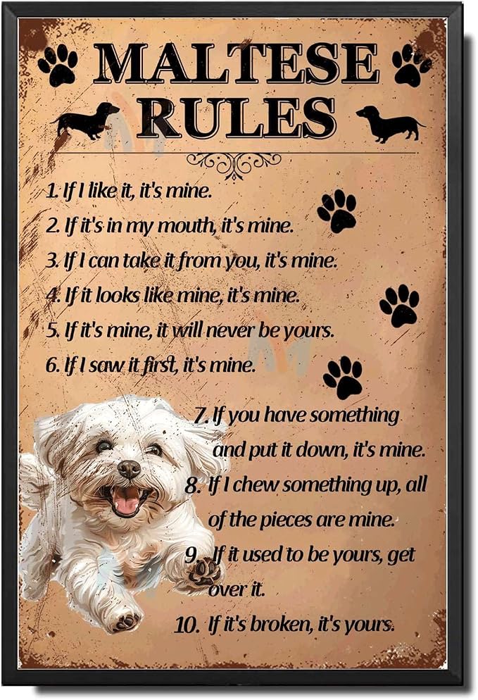 Metal Sign Tin Sign Vintage Wall Art Maltese Rules Vintage Decor for Club 8×12 Inches with Metal Frame