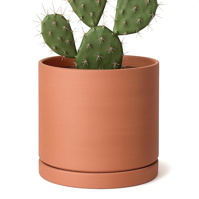 D'vine Dev Medium 8 Inch Terracotta Plant Pot with Drainage Hole and Saucer, Round Cylinder Planter Pot for Indoor Plants, 40-X-A-4