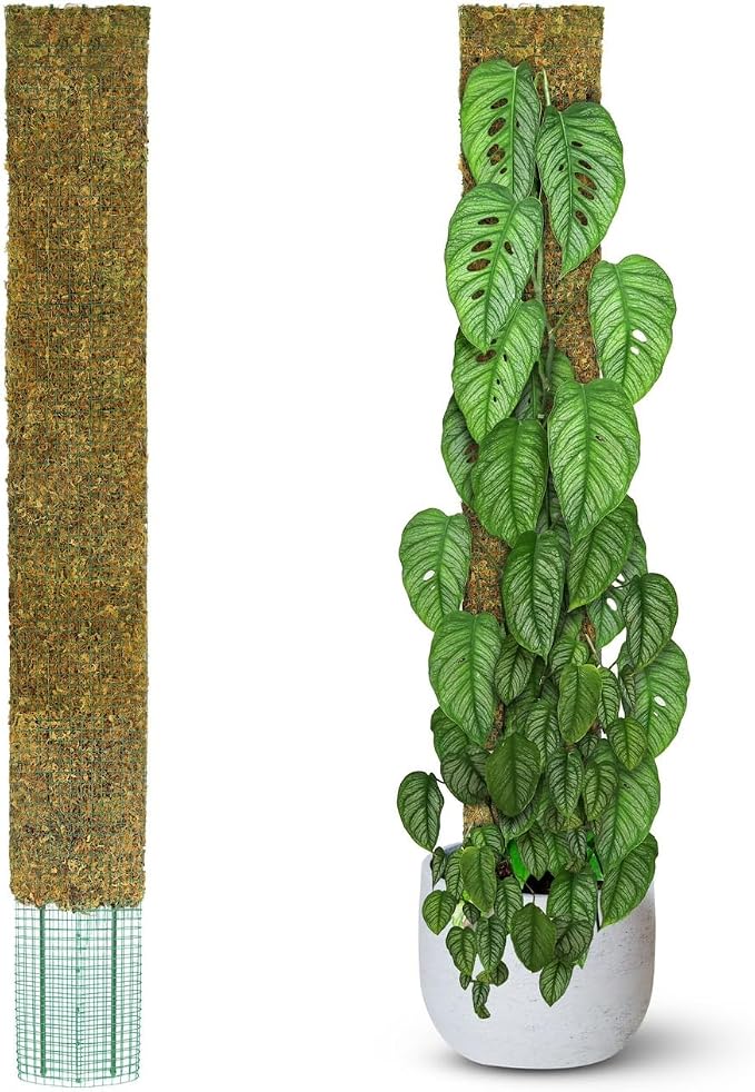 59" Flat Mesh Moss Pole for Big Climbing Plants, (1pc., 59'') | Wide Flat Real Moss Surface, Monstera Moss Pole for Indoor Plants, Plant Stakes for Mature Indoor Plants