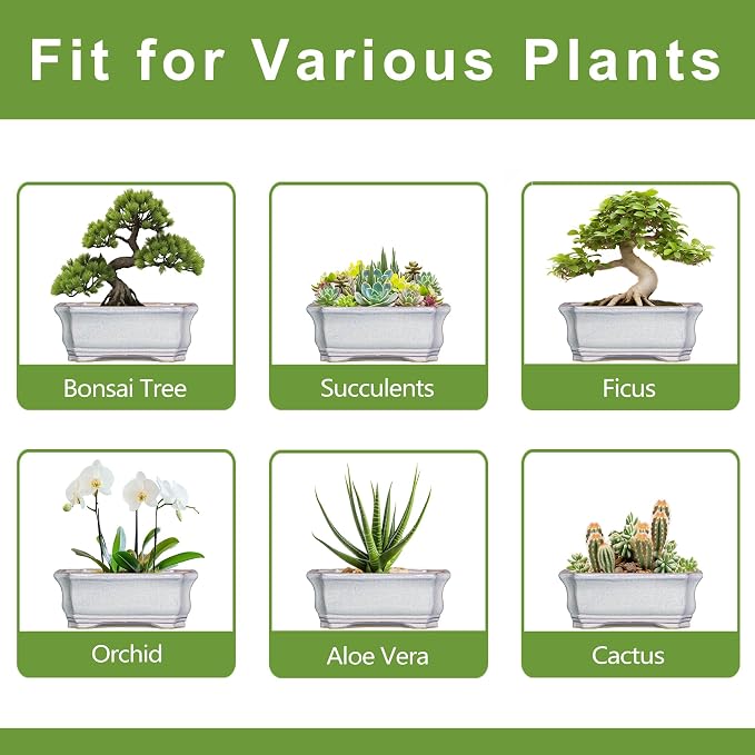 Bonsai Pots Ceramic - 13.7 Inch Succulent Planters with Drainage Hole, Bonsai Planters for Indoor Succulent Plants, Decorative Plant Pots, Front Porch Decor, Gardening Gifts, Rectangular Grey