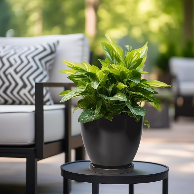 8 Inch Plant Pot - Ceraimc Planter for Indoor Outdoor Plants, Round Flower Pots with Drainage and Tray, House Decor, Black