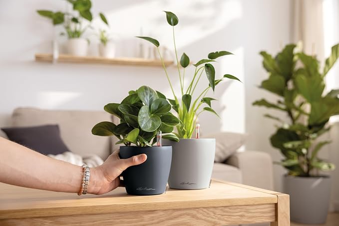 LECHUZA Classico Colour 14 Table Pot White Planter with Watering System, Water Level Indicator and Plant Insert, Matte Surface, Diameter 15 x 13.5 cm, 16696