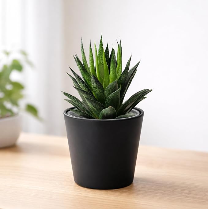 Phoenix Vine 4.5 Inch Black Plastic Cachepot with Clear Nursery Pot, Decorative Lightweight Planter Cover with Transparent Inner Pot for Indoor Houseplants, Pack of 6, 24-B-E-6