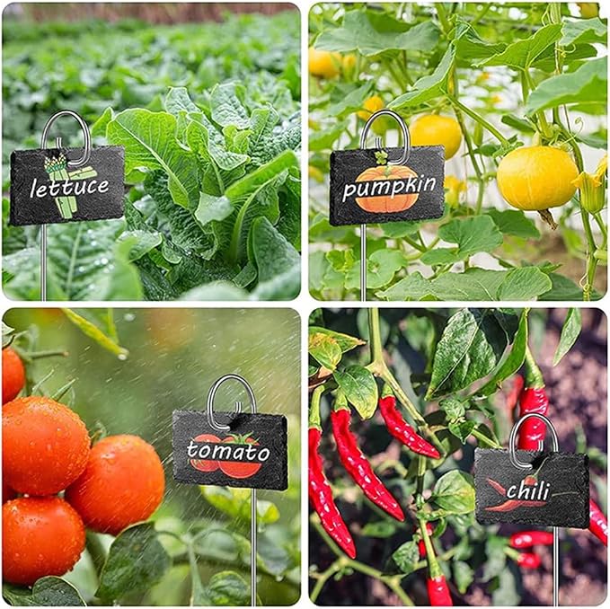 Slate Plant Labels Garden Markers Signs Labels with Stainless Steel Stake & Marker Pen Waterproof Slate Plant Labels for Flowers, Herbs, Potted Plants, Seed (Rectangular, 10PCS)