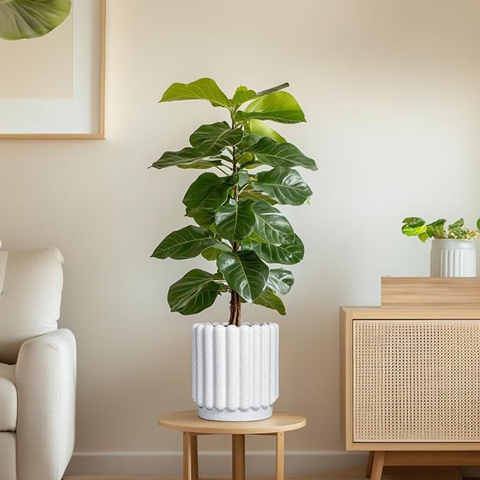 Ceramicfor Ceramic Planter, 7.6 Inch, White | Indoor Plants, Outdoor Use, Drainage Hole, Fluted Modern Design, Round Flower Pot