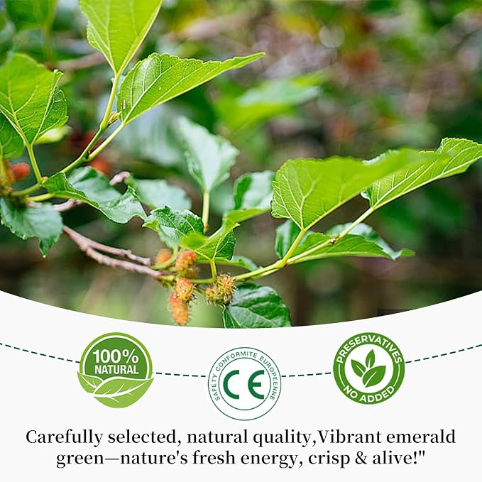 Baihuatang Natural Dried Mulberry Leaf 200g/7.05oz Premium Mulberry Leaves (桑叶茶), Sun-Dried, Sugar-Free, Caffeine-Free, No Additive