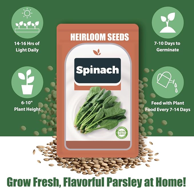Spinach Seed Pods Kit for Hydroponic, 12 Pods Grow Anything Hydroponics Kit for Indoor Garden, Hydroponics Supplies with 12 Grow Sponges, 12 Plant Baskets, Spinach Seeds - 12 POD