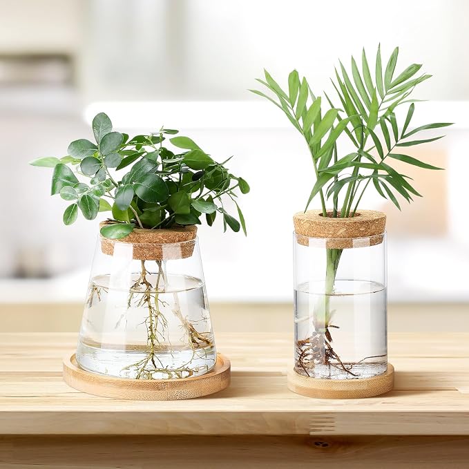 Layhit 4 Pcs Plants Propagation Stations vases Glass Planters with Wooden Lid and Bamboo Stand for Hydroponic Plants Gardening Gifts for Women Mom Home Office Tabletop Decoration(Stylish Style)