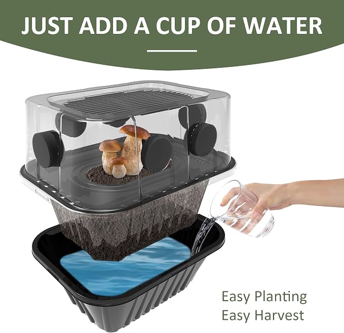 Mushroom Growing Kit, Monotub Stackable Grow Box, Fruiting Chamber with FAE Filters, Indoor Use, 12.6 x 12.6 x 6.3 inches, Clear and Black