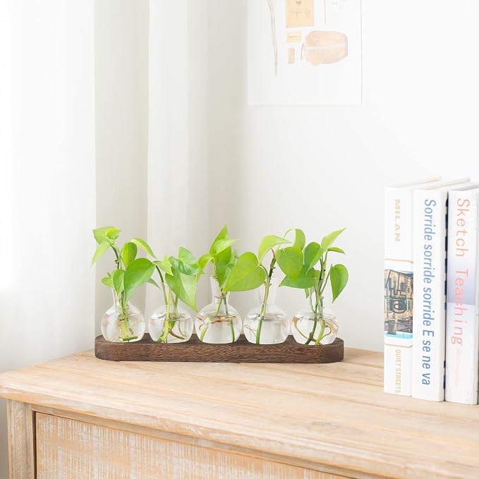 Mkono Desktop Plant Propagation Glass Station Retro Terrarium with Wooden Tray Bulb Vase for Hydroponic Home Indoor Decor Brown, Plant Lover Gift