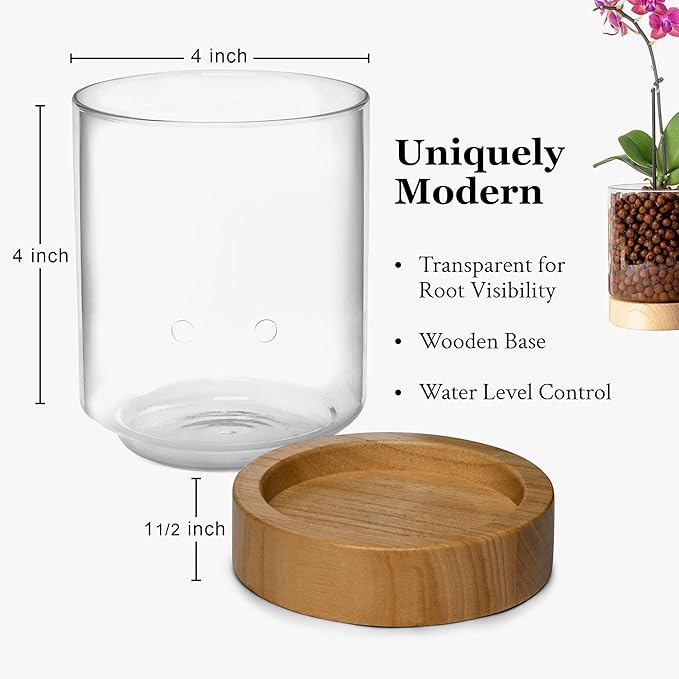 Pot & Pebble C3 Glass Orchid Pot, Wood Base - LECA Semi-Hydroponic Planter