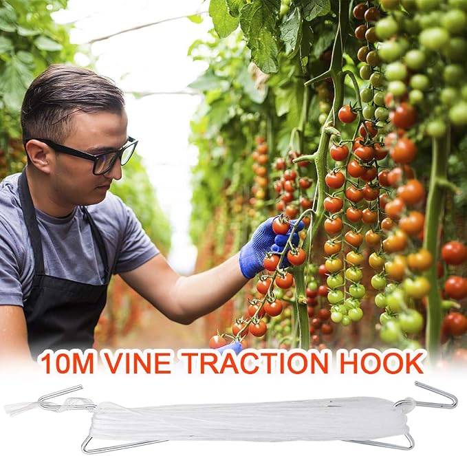 DAMEING Plant Climbing Hooks, Tomato Support J Hook Garden Hooks to Prevent Tomatoes from Pinching or Falling Off (20Pcs)