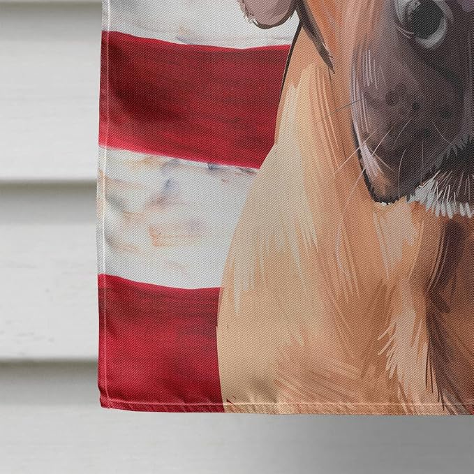 Caroline's Treasures CK6463CHF Broholmer Dog American Flag House Flag Large Porch Sleeve Pole Decorative Outside Yard Banner Artwork Wall Hanging, Polyester, House Size, Multicolor