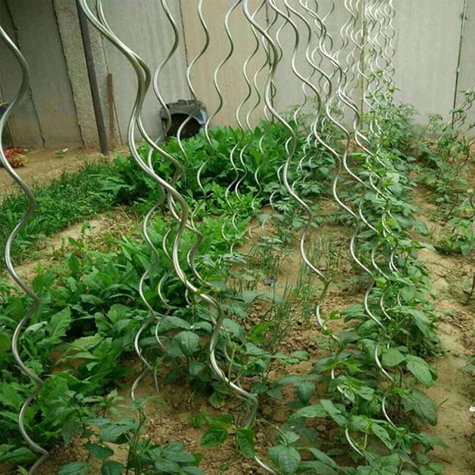 10 Pack Aluminium 59 inch Height Dia 6mm Twisted Tomato Stakes Plant Supports Spiral Tomato Cages,Climbing Plant Stake Tower Plant Supports Twist Tomato Stakes
