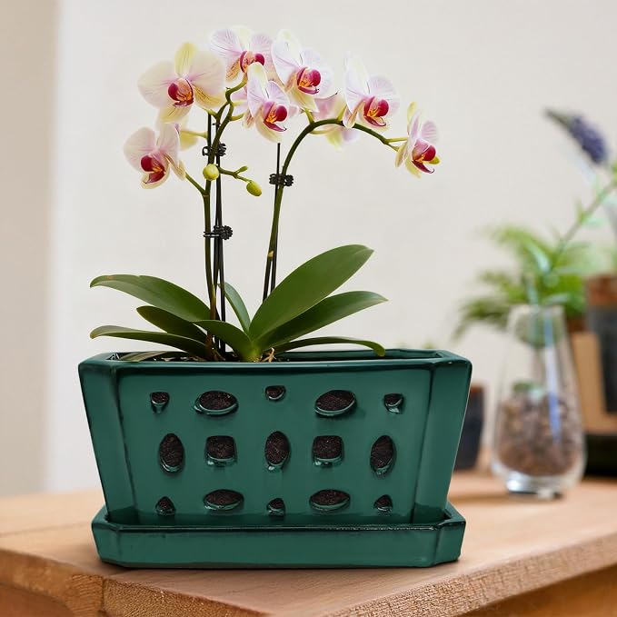 Pumtus Ceramic Orchid Pot with Saucer & Holes, Large Rectangle Repotting Plant Pot with Gloves & 3 PCS Shovels, Thickened Glazed Decorative Planter, Slotted Flower Container for Good Air Circulation