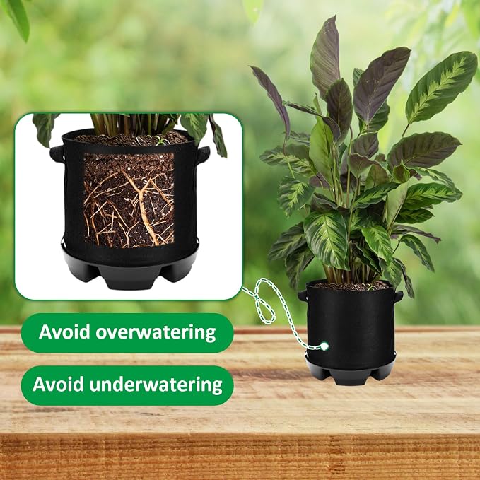 Jingmore 6 Set 3 Gallon Grow Bag Self Watering Fabric Pot Base Automatic Watering System Plant Nonwoven Grow Bag Handle Plant Saucer Elevate Flower Tray for Garden Indoor Outdoor Greenhouse (Black)