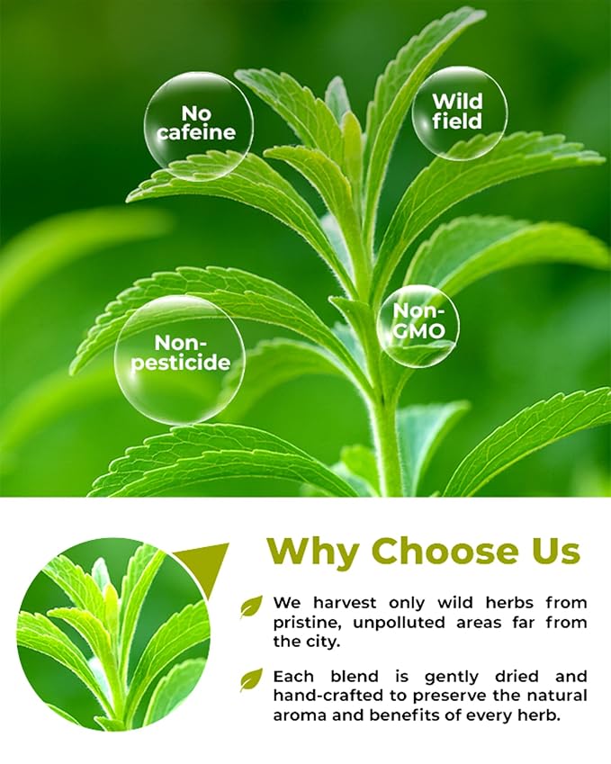 4 oz. Dried Stevia Leaves Herbal Tea (Stevia Rebaudiana) - 113g Leaf Leaves Herb Tea Estevia
