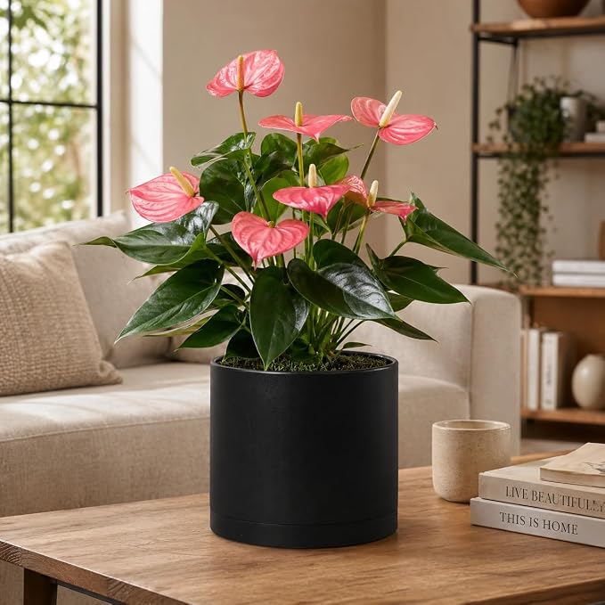 Giraffe Creation 10 Inch Cylinder Plant Pot, Modern Round Planter with Drainage Holes and Saucer, Lightweight Plastic Flower Pot for Indoor Outdoor Plants, Black