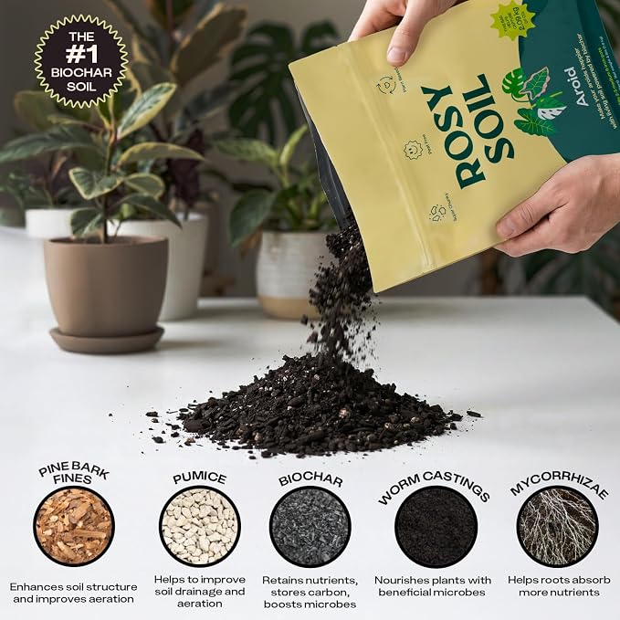 Rosy Soil Aroid Soil Mix, Chunky Biochar Potting Mix, 4 Quarts | For Monstera, Philodendron, Anthurium & Tropical Plants - Peat-Free, Microbially Active, Superior Aeration & Drainage