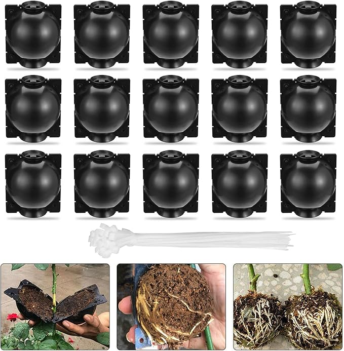 nutroeno 15 pcs Plant Root Growing Box Cloning Ball - Air Layering Reusable Plant Rooting Device, High Pressure Grafting Propagation Ball, Assisted Cutting Rooting for Plants Asexual Reproduction(L)