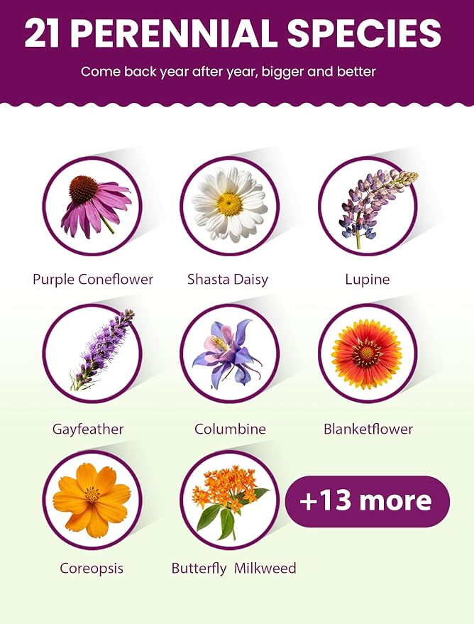 Wildflower Seeds – Perennial Paradise Mix, 21 Heirloom Species, 24,000+ Seeds (4oz) Covers 300-360 sq. ft., High Germination for Outdoor Pollinator Garden