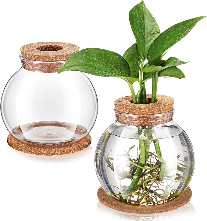 Baderke 2 Packs Propagation Vases for Plants Plastic Plant Propagation Station with Hole Lid and Cork Coasters Plant Growing in Water Hydroponic Home Office Table Decoration(Fish Bowl Style)