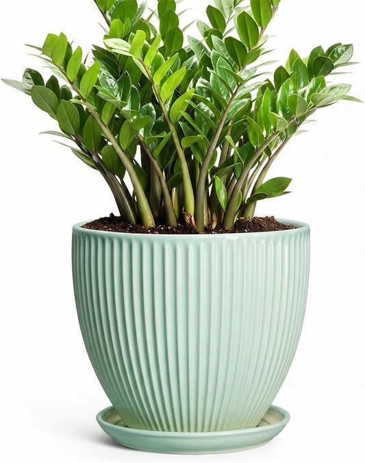 10 Inch Planter Indoor, Ceramic Pots for Plants Indoor, Decorative Plant Pots with Drainage Hole and Saucer, Large Modern Planter, Round Flower Pot, Floor Decor, Women Men Gifts, Mint Green