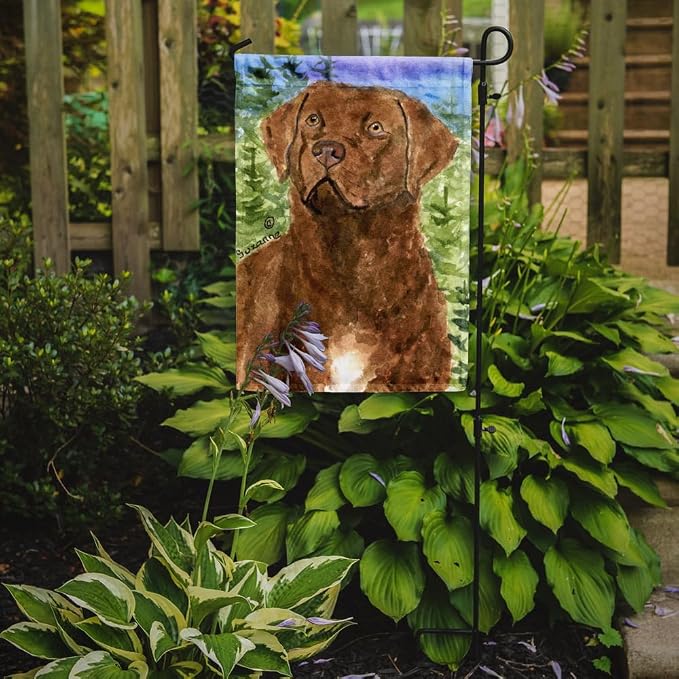 Caroline's Treasures SS8933GF Chesapeake Bay Retriever Garden Flag Mailbox Flag Decorative Yard Flag Banner Outside Patio Artwork Yard Flower Beds, Garden Size, Multicolor