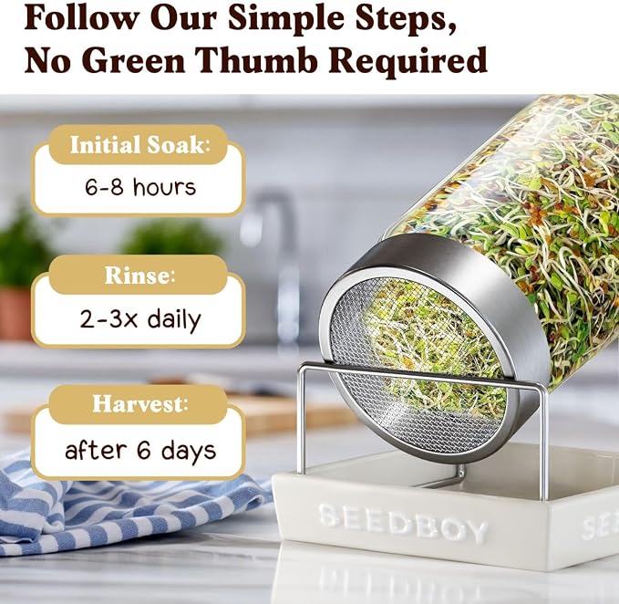 Seedboy Organic Non-GMO Sprouting Seeds, Longevity Blend - USA Grown Microgreens Mix with Broccoli, Red Kale, Black Kale, Alfalfa - 8 oz Bag Makes 8 Quarts / 32 Servings (Longevity Blend)