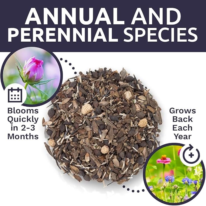 Bulk Wildflower Seeds Butterfly and Humming Bird Mix - 1/4 Pound Bag - Over 30,000 Open Pollinated Annual and Perennial Seeds