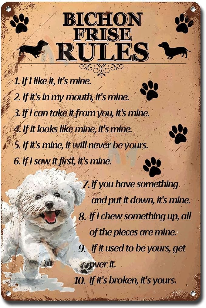 Metal Sign Tin Sign Vintage Wall Art Bichon Frise Rules Bathroom Decor for Restaurant 8×12 Inches