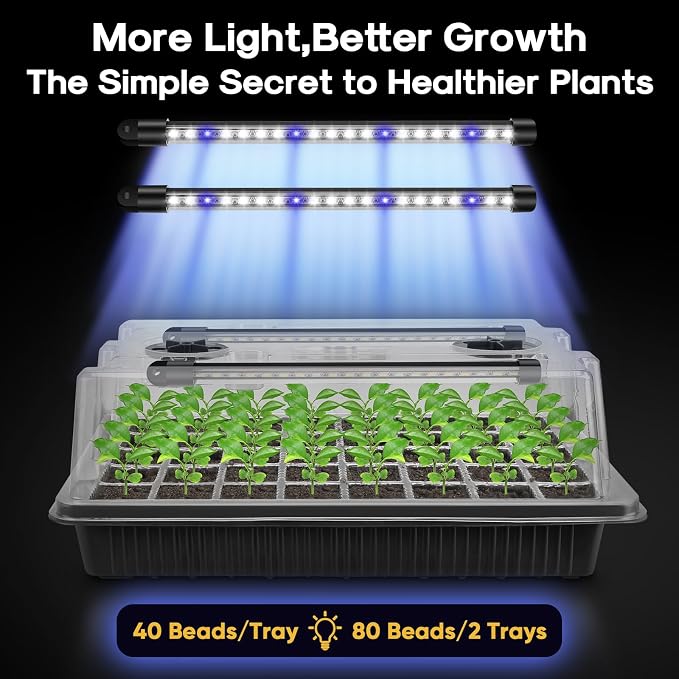 BlumWay Seed Starter Tray with Grow Light,2 Pack 80 Cells Seedling Tray Kit with Humidity Dome/Indoor Plant Starter Kit, Adjustable Brightness Plant Germination Trays-Black