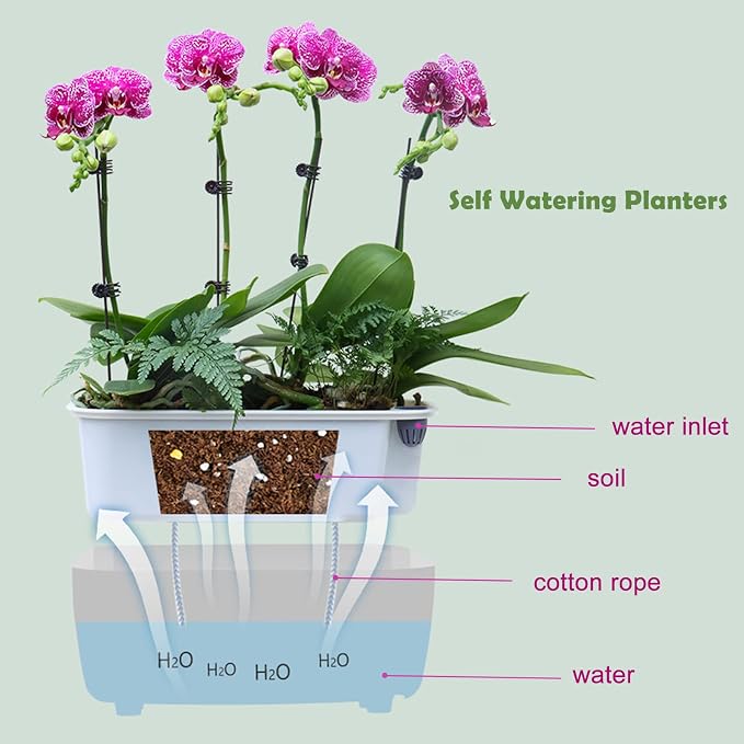 5 Pack Rectangular Planter 11.8 x 4.6 in Self Watering Planter Window Sill Planters Indoor Rectangle Planter Self Watering Pots Plastic Plant pots for African Violet Flower Orchid (Clear, 5)