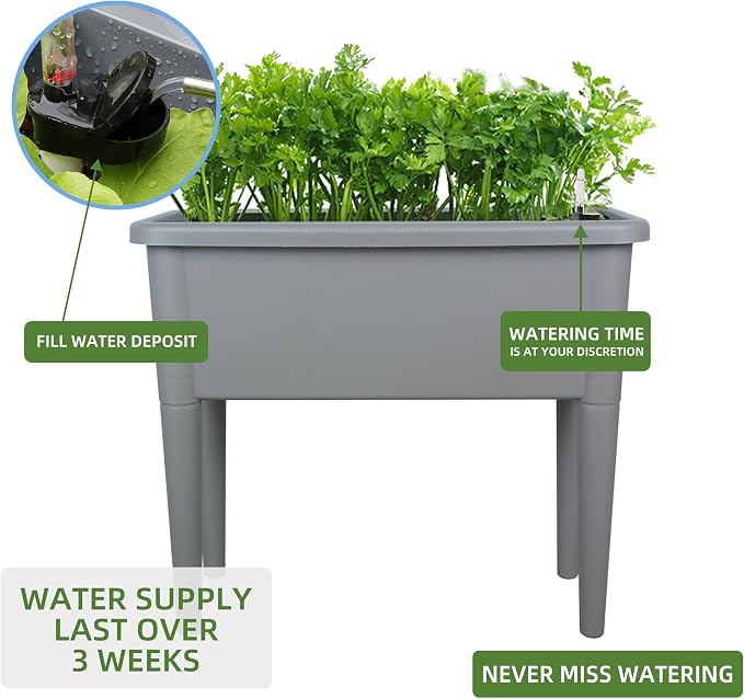 Dexceder 13.2 Gallon Self Watering Raised Garden Bed (Deep Gray) | Ventilation Transparent Lid Greenhouse, Deepen Vegetable Flower Box Planter Pot with Removeble Legs & Water Level Indicator