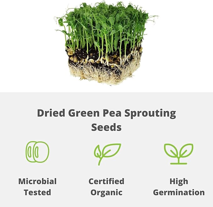 Handy Pantry Green Pea Sprouting Seed 8 Oz for Sprouts, Garden Planting | Cooking, Soup, Emergency Food Storage, Vegetable Gardening